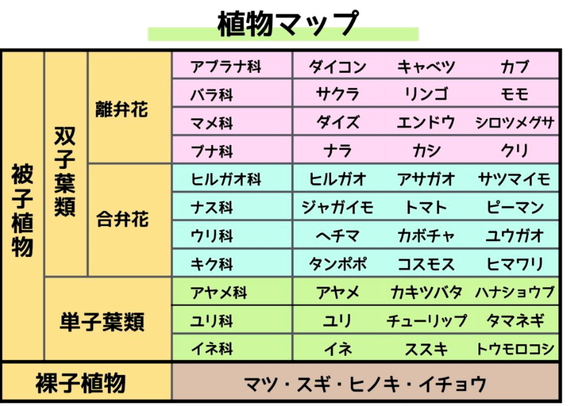 素農blog