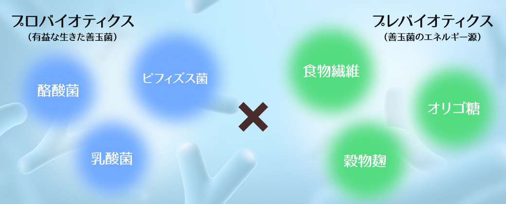 【長年の疑問が解決！？】脳梗塞の前駆症状「閃輝暗点」と下痢した理由「宮入菌欠乏」→俺「やっとわかったヨ！」_a0386130_08002664.jpg