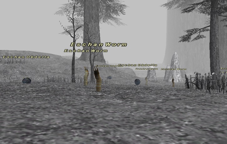 エスカ レベル40からの狩場案内 ジ タ じゅえ的ffxiめも エスカ レベル40からの狩場案内 ジ タ じゅえ的ffxiめも