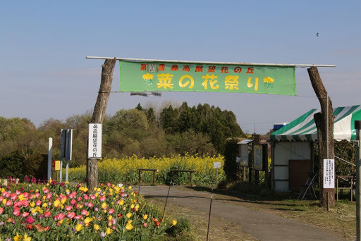 菜の花で迷路も 鼻高展望花の丘 群馬で生まれ育った男のブログ 菜の花で迷路も 鼻高展望花の丘 群馬で生まれ育った男のブログ