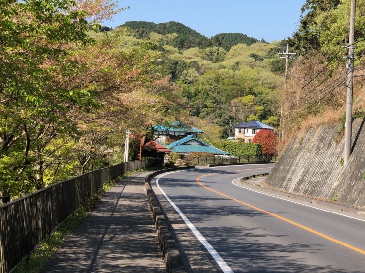 顔振峠 ヒルクライムのつもりが 困難の中にこそ美がある 顔振峠 ヒルクライムのつもりが 困難の中にこそ美がある