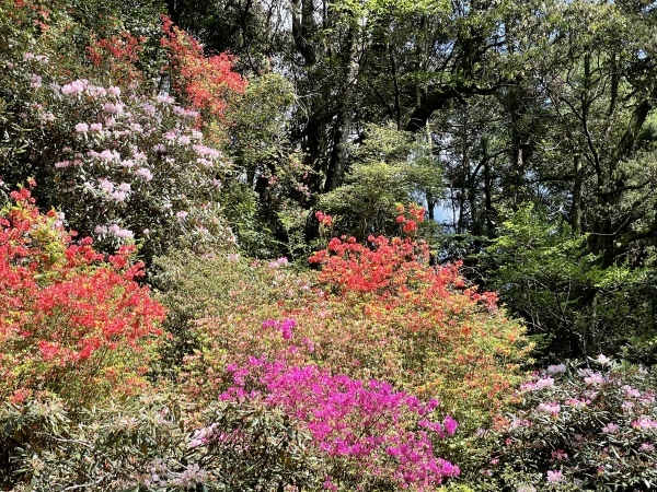 滝行もまた淡々と　2021.4.5_b0002156_12303352.jpeg