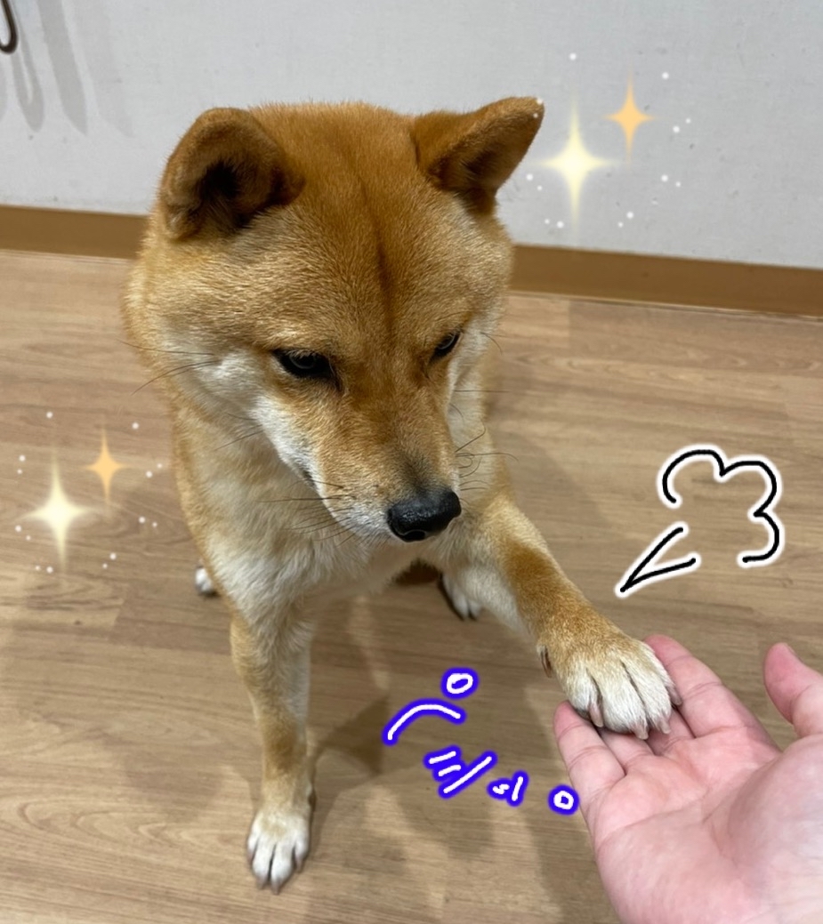 食欲の春な私です。_f0357682_06063705.jpg