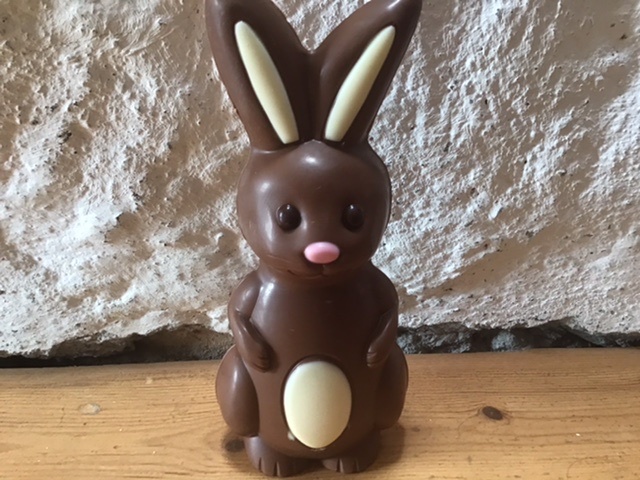 チョコレートのうさぎちゃん イギリス ウェールズの自然なくらし