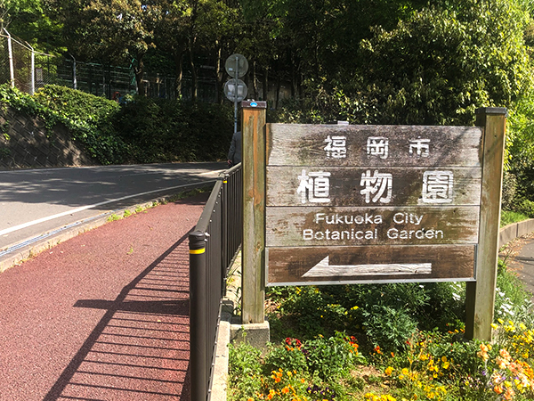 福岡市植物園に行ってみた_f0126903_21565586.jpg
