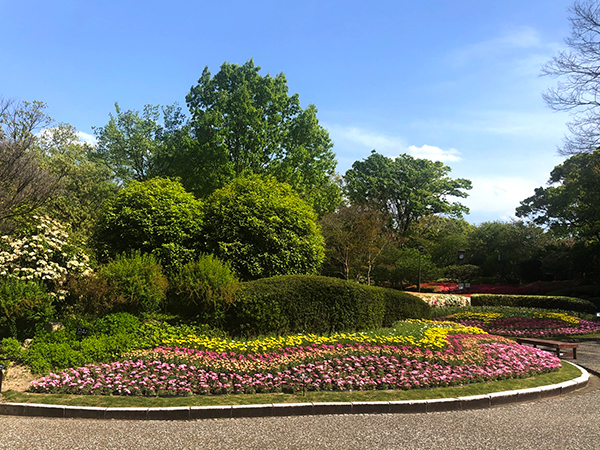 福岡市植物園に行ってみた_f0126903_21571864.jpg