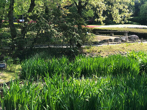 福岡市植物園に行ってみた_f0126903_21572769.jpg