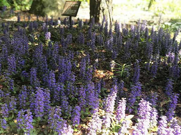 福岡市植物園に行ってみた_f0126903_21573562.jpg
