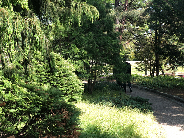 福岡市植物園に行ってみた_f0126903_21575102.jpg