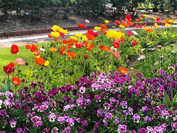 福岡市植物園に行ってみた_f0126903_21582095.jpg
