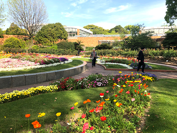 福岡市植物園に行ってみた_f0126903_21582941.jpg