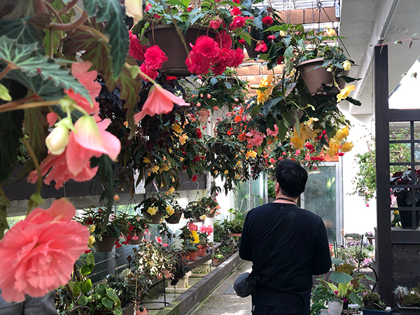 福岡市植物園に行ってみた_f0126903_21585787.jpg