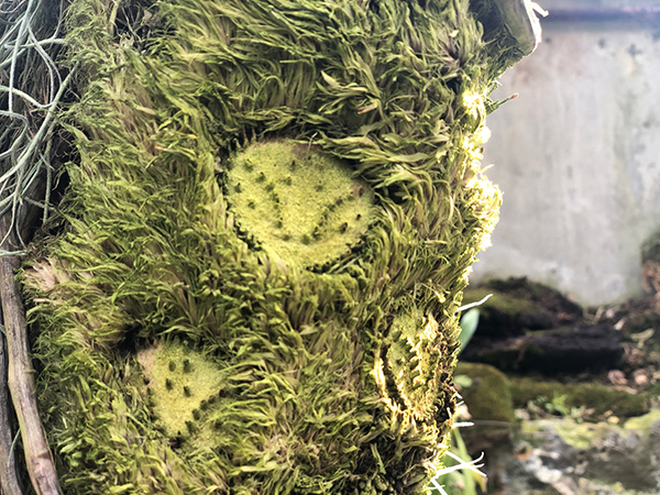 福岡市植物園に行ってみた_f0126903_21591450.jpg