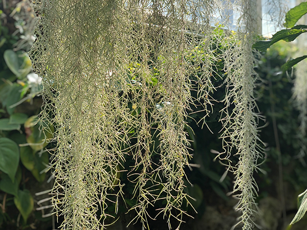 福岡市植物園に行ってみた_f0126903_21592858.jpg