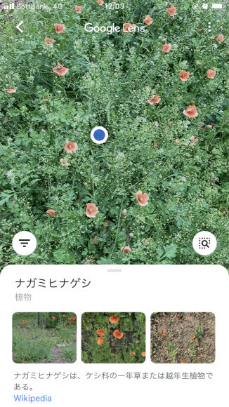 ブログ更新滞りがち😰_a0098418_18085460.jpg