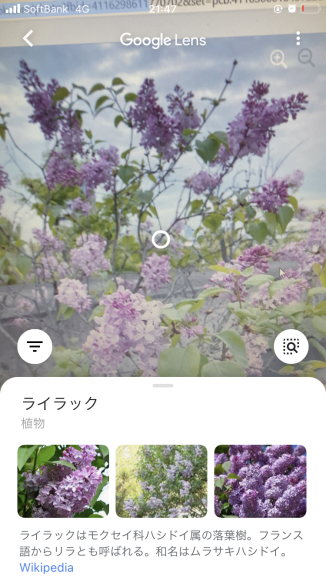 ブログ更新滞りがち😰_a0098418_18090364.jpg