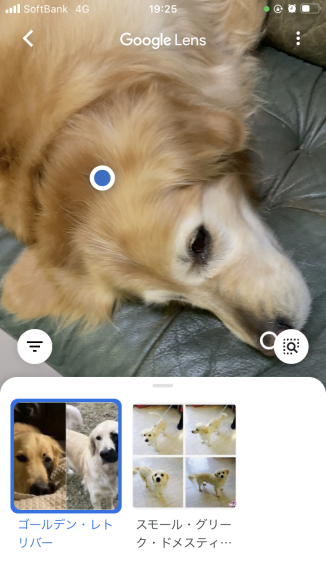ブログ更新滞りがち😰_a0098418_18105522.jpg
