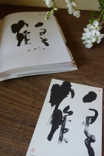 美登英利さん、初のマニュアル本出版_a0197730_01431261.jpg