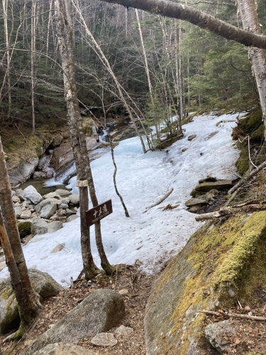4月12日　毛木平登山道　下見してきました_c0369344_11461362.jpeg