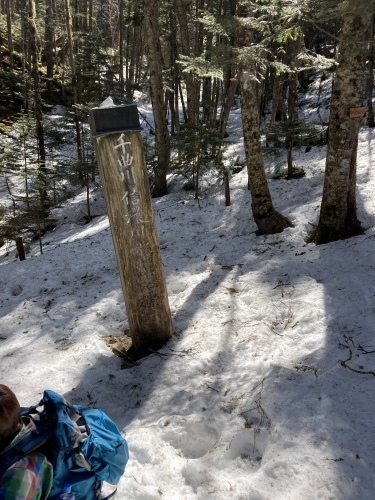 4月12日　毛木平登山道　下見してきました_c0369344_11464465.jpeg