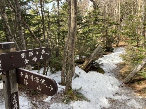 4月12日 毛木平登山道 下見してきました_c0369344_11470226.jpeg
