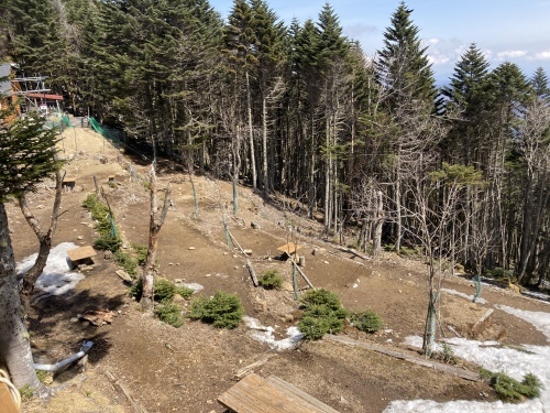 4月12日 毛木平登山道 下見してきました_c0369344_11475610.jpeg