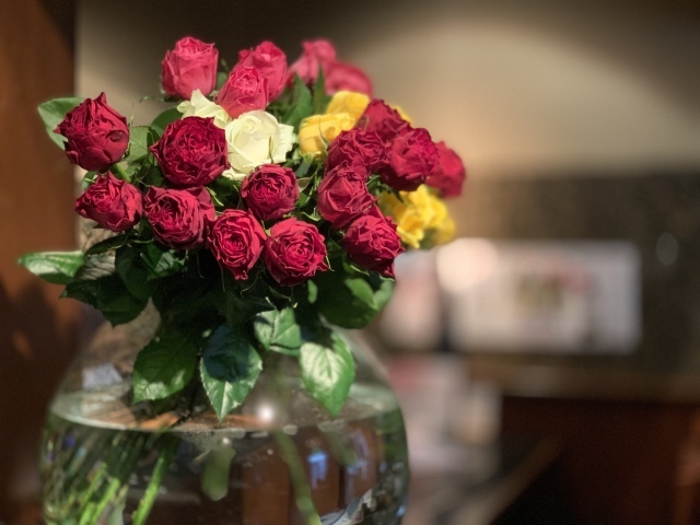 おはようございます。　#薔薇　#戸越銀座　#焼肉屋　#三幸苑_c0171082_23342085.jpeg