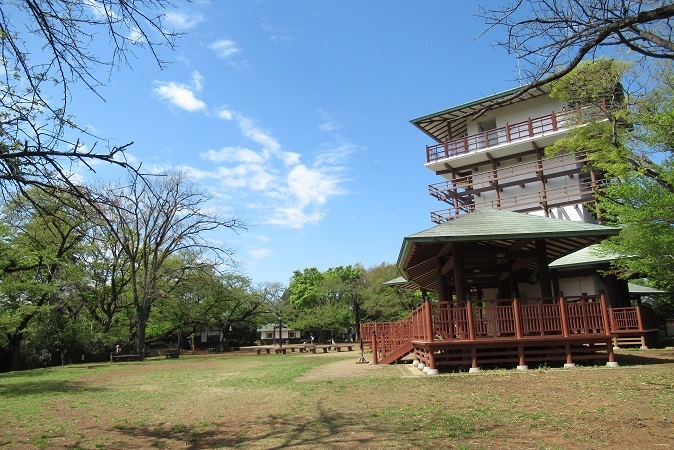 東生田自然遊歩道（向ヶ丘遊園駅～読売ランド前駅）01-生田緑地_d0183387_11291231.jpg