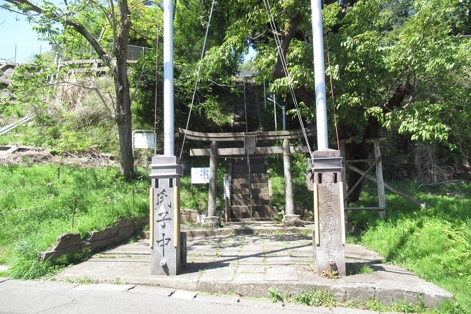 東生田自然遊歩道（向ヶ丘遊園駅～読売ランド前駅）01-生田緑地_d0183387_14201984.jpg