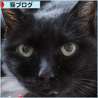 まだ、ヒナにできること_a0389088_16545644.jpg