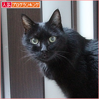 まだ、ヒナにできること_a0389088_16545649.jpg