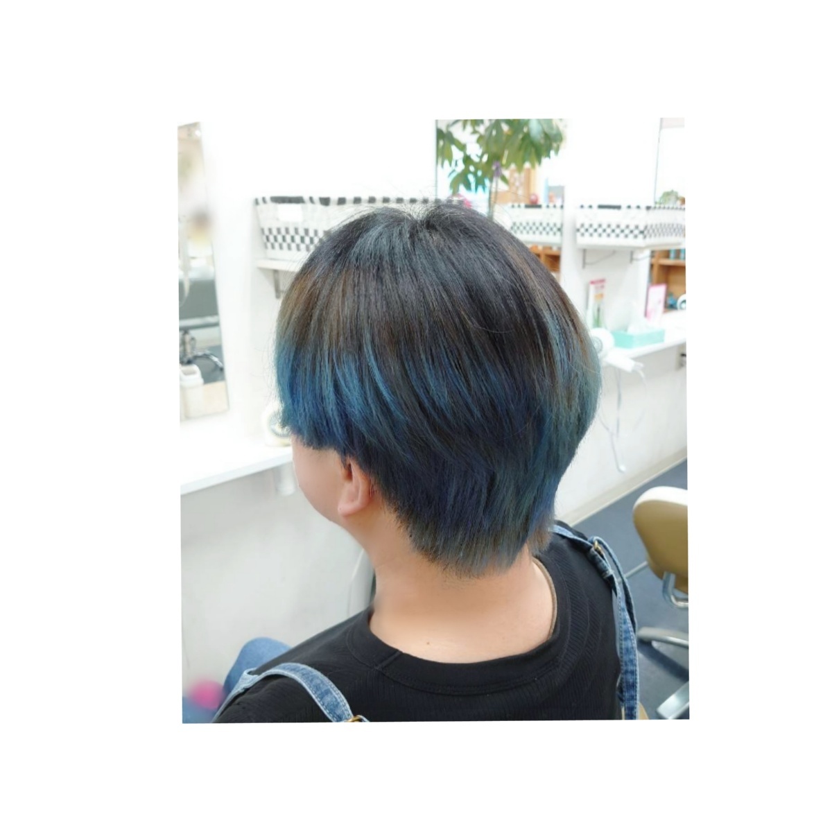 ダブルカラー_b0211088_23110045.jpg