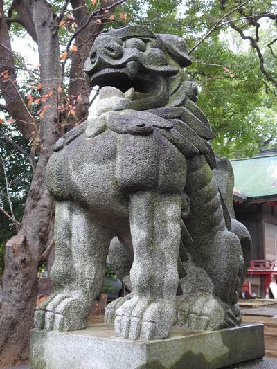 玉川神社　沢山の狛犬とクスノキ_c0361995_21132327.jpg