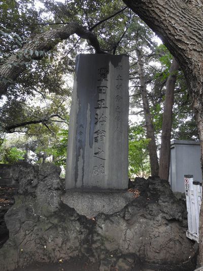 玉川神社　沢山の狛犬とクスノキ_c0361995_21313736.jpg