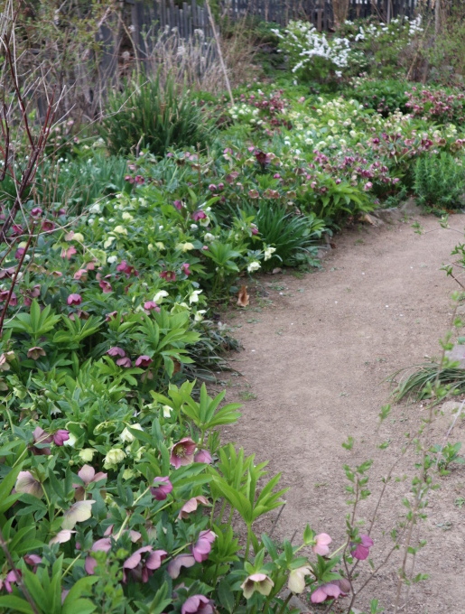 長野 群馬の旅 その1 あけの秘密の花園