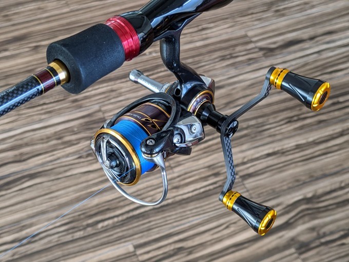 ダイワ(DAIWA) 21 カルディア FC LT2000S-H - labaleinemarseille.com