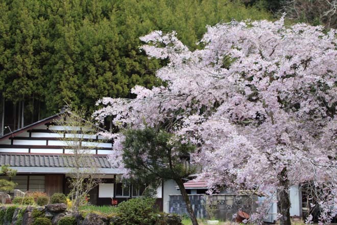 北山の街道を行く1　杉坂から周山へ_e0048413_21505464.jpg