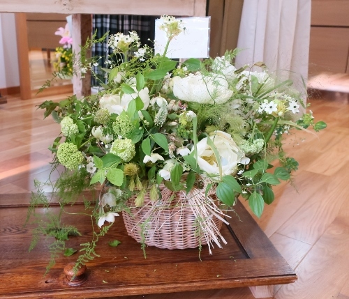 アンフォルメ店始まっています。_c0227633_20303681.jpg