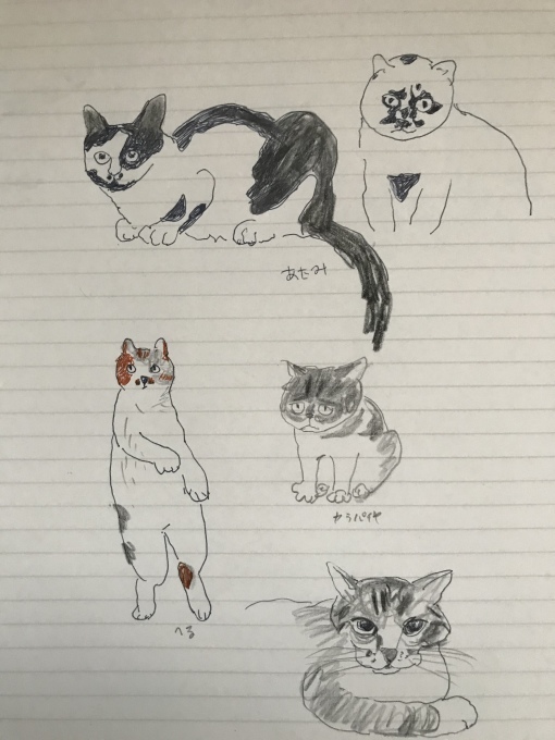 キノコ採集に熱中_d0101846_05432626.jpeg