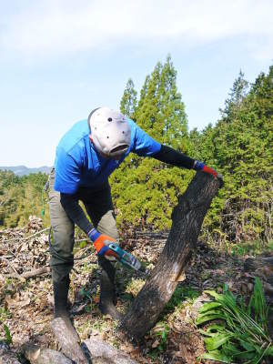 原木しいたけ コマ打ち作業(2021) 多くの手間ひまで育てられる最も自然に近い栽培方法です(後編)!_a0254656_16512762.jpg