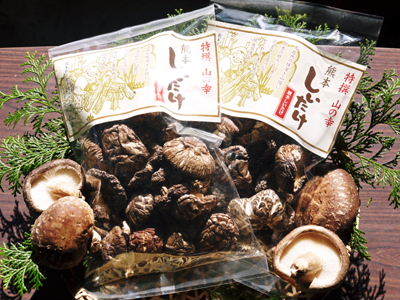 原木しいたけ コマ打ち作業(2021) 多くの手間ひまで育てられる最も自然に近い栽培方法です(後編)!_a0254656_17072913.jpg