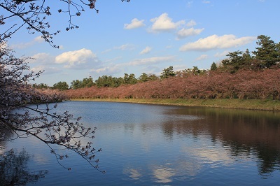弘前公園_2021.04.15撮影_d0131668_19344326.jpg