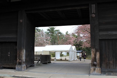 弘前公園_2021.04.15撮影_d0131668_19360645.jpg