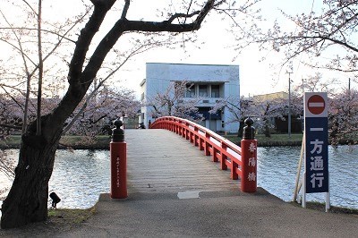 弘前公園_2021.04.15撮影_d0131668_19373651.jpg