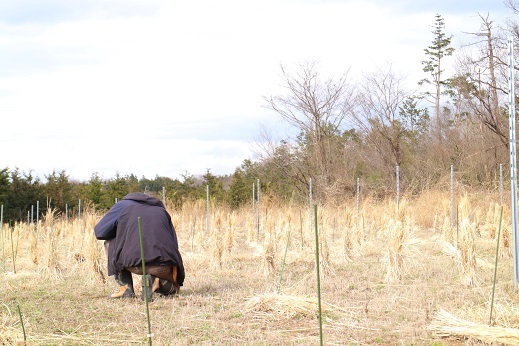 【ワイナリー訪問】山梨県北杜市・紫藝醸造さんへ_b0016474_11122339.jpg