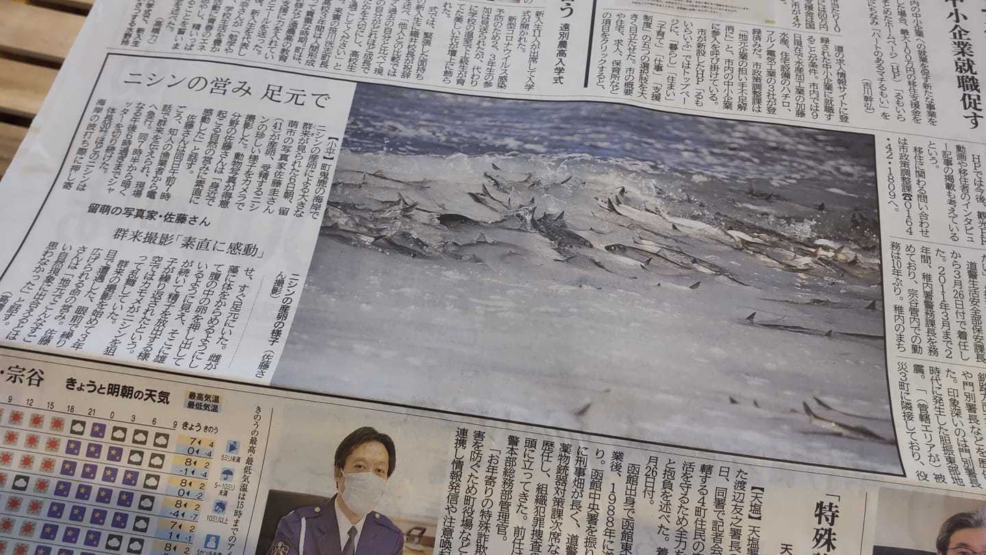 野生動物写真家 佐藤 圭 北海道の自然と野生動物 野生動物写真家 佐藤 圭 北海道の自然と野生動物