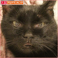 まさか、ヒナが・・・_a0389088_11262525.jpg