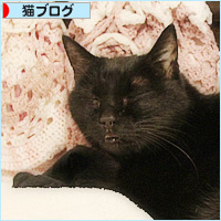 まさか、ヒナが・・・_a0389088_11262598.jpg