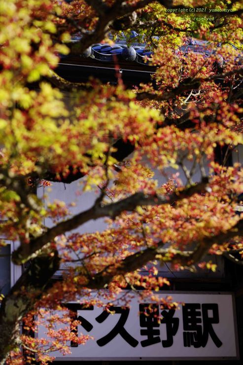 もみじの花が咲く ローカル鉄道散歩 もみじの花が咲く ローカル鉄道散歩