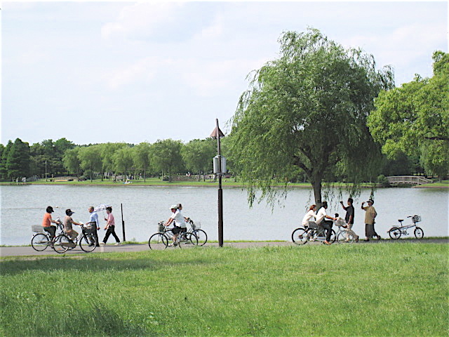 小岩菖蒲園と水元公園 Welcome To Koro S Garden 小岩菖蒲園と水元公園 Welcome To Koro S Garden